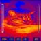 Download Thermal Camera Cell Phone Software
